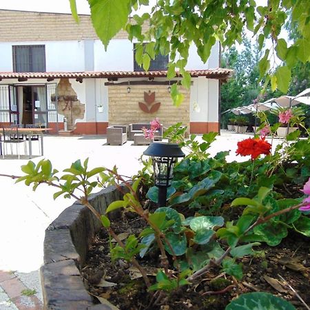 Casale Rurale Bed & Breakfast San Marco Evangelista Ngoại thất bức ảnh