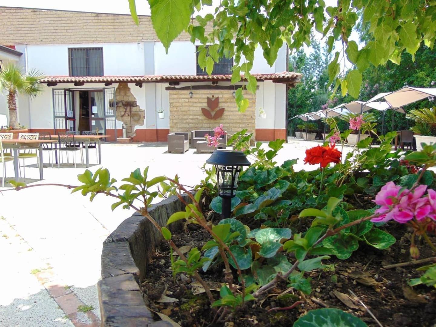 Casale Rurale Bed & Breakfast San Marco Evangelista Ngoại thất bức ảnh
